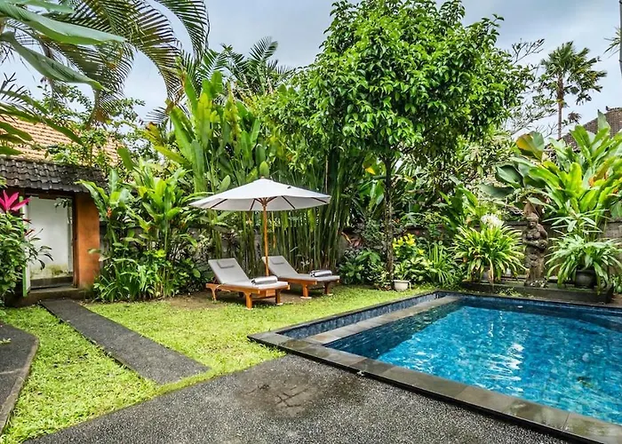 Villa Lila House - *