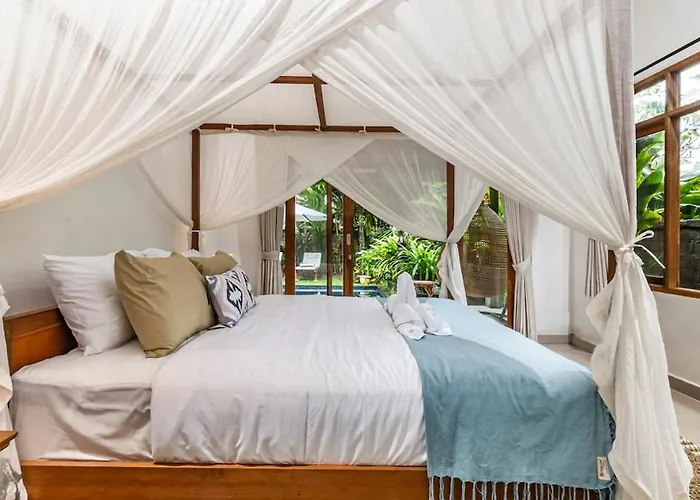 Lila House -